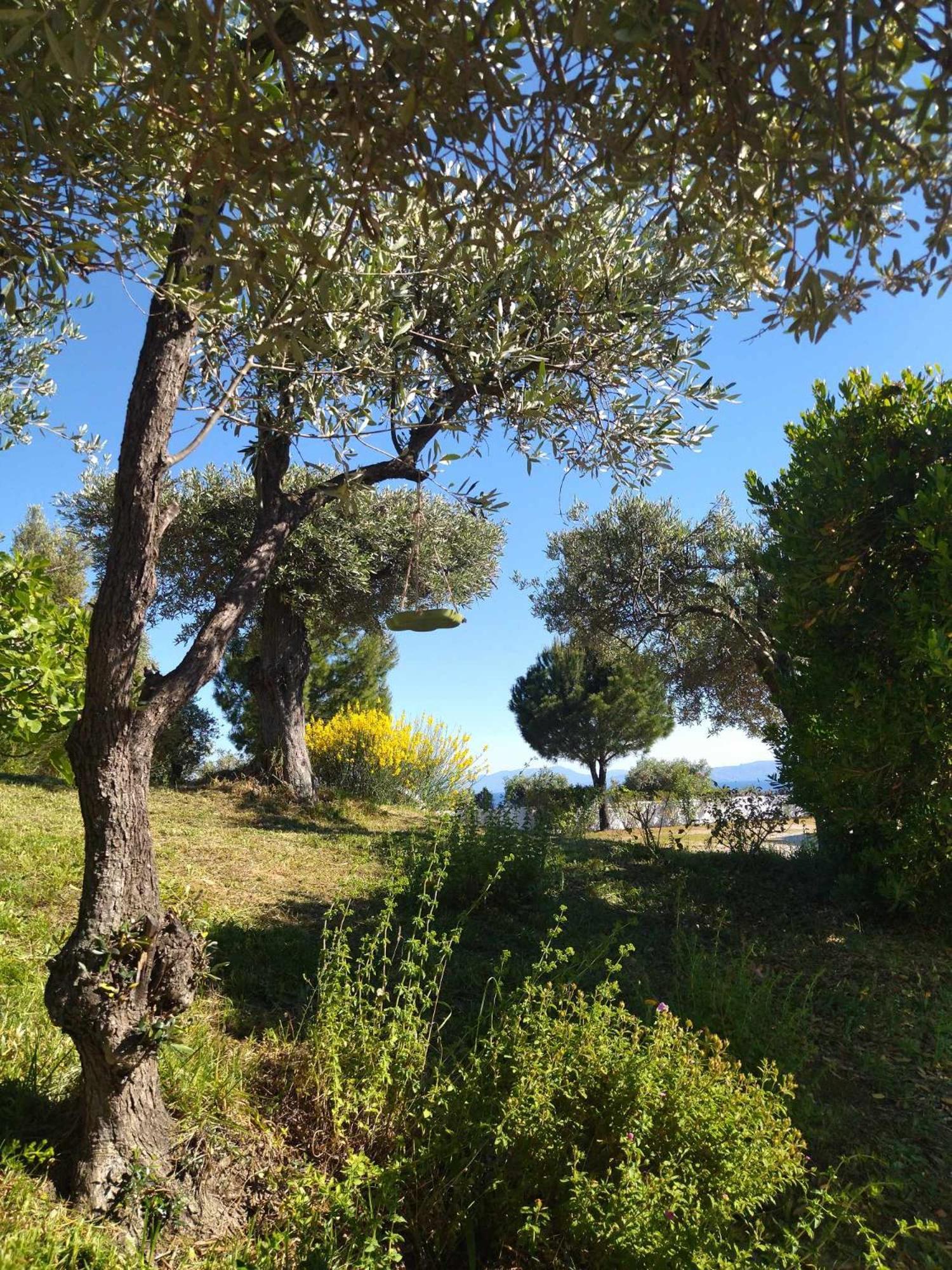 Villa Anna Maria Agia Paraskevi  Extérieur photo